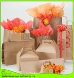 Recyclable Printed Kraft Paper Shopping Bag/Food Box