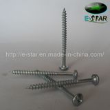 Raisd Oval Chipboard Screw