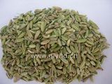 Fennel Seeds