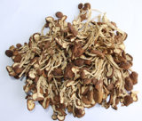 Dried Agrocybe Aegerila