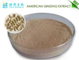 Nice Price High Ginsenosides Contents American Ginseng Extract