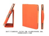Colorful Case for iPad 2