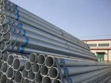 Line Pipe Steel