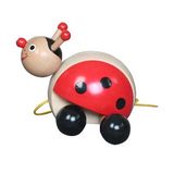 Wood Push Toy (WJ276231)