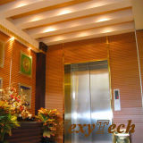 Decorating Material Indoor Wall Panel 204X16mm (MW-02)