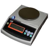 Portable Electronic Scale