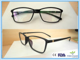 R617 Directly Factory Selling Tr90 Optical Frame Eyewear