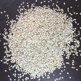 High Quality White Sesame Seed From China