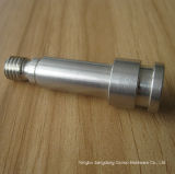 Stainless Steel Turning CNC Bolt
