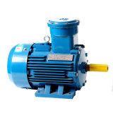 Yb2 Explosion-Proof 3-Phase Electric Motor