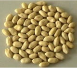 Wholesale Organic Peanut Kernel Without Skin