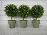 Artificial Plastic Potted Flower (XD15-410)