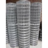 Stainless Steel Welded Wire Mesh (zsw0149)