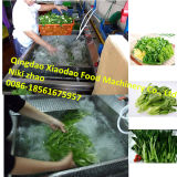 Meat Washer/Meat Cleaning Machine/Vegetable Washing Machine