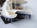 Delicate Catamaran Boat Model