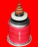 110kv Power Cable with Cu/XLPE/CAS/PE