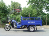 150 Cc 4 Stroke for 3-Wheel Cargo Tricycle (TR-10)
