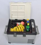 Car Refrigerator/Car Freezer/Car Cooler/Portable Car Freezer