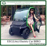 Electric City Car with 4kw Motor