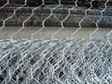 Wire Mesh