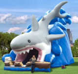 High Shark Inflatable Slide