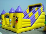 Bestselling Inflatable Slide