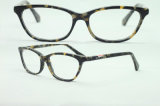 New Optical Acetate Frame Eyewear (H684)