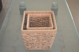 Water Hyacinth Box
