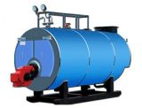 Natural Gas Steam Boiler (WNS)
