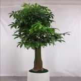Delicate Artificial Lucky Bonsai Tree Fake Money Tree (ISO9001)