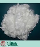 Regenerated Polyester Staple Fiber