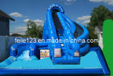 Inflatable Water Slide with Pool, Inflatable Water Slide (FL-S225)