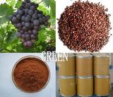 Grape Seed Extract