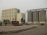Wheat Flour Mill Price (5FTY)