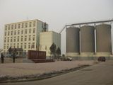 Wheat Flour Mill Price (5FTY)