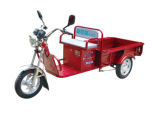 Electric Cargo E Tricycle (JBDCQ200-12F)
