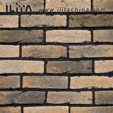 Manufactured Culture Bricks Environmental Bricks Wall Veneers (17003)