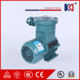 380V 50Hz Electric Explosion Proof Three Phase AC Motor