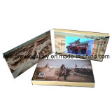 Full Color Cheap Advertising Video Brochures