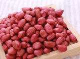 Wholesale Roasted Peanut Dark & Light Red Skin