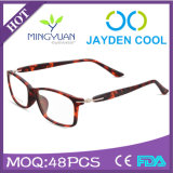 (R651) Directly Factory Selling Tr90 Optical Frame Eyewear