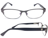 New Fashion Optical Metal Acetate Frame Eyewear (W010)