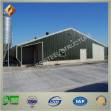 China Supplier Light Steel Structure Poultry House