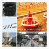 Automatic Poultry Farming Equipment for Broilers and Chickens