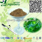 Factory Supply Hot Sale Bitter Melon Extract