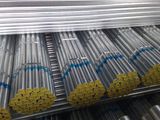 Galvanized Welded Steel Pipe/Tube