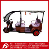 Electric Tricycle for Passenger, Passenger Tricycle, Three Wheeler, 3 Wheeler Tricycle D98