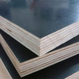 1220*2440mm China Construction Formwork Film Faced Plywood