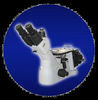 Inverted Metallrugical Microscope SD300m Hot