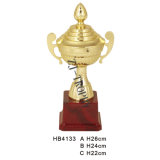 Metal Decoration Trophy Cup Hb4133